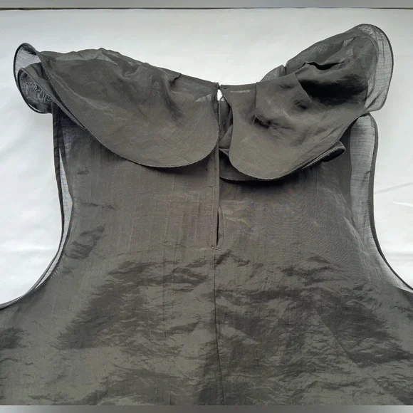 H&M | Sheer Ruffle Sleeveless Top - Picture 10 of 16